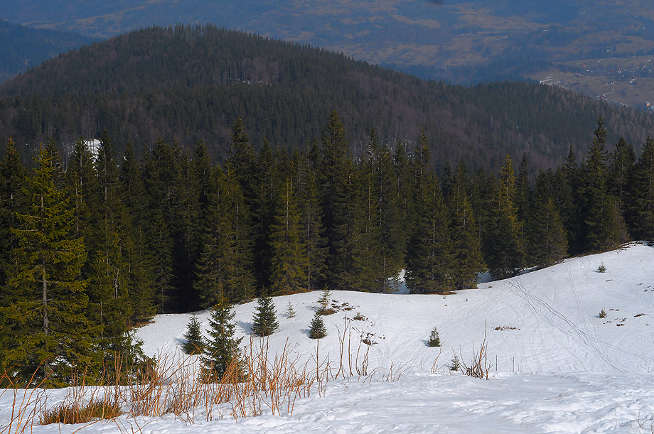Widoczek z Hali Miziowej (Beskid Żywiecki)